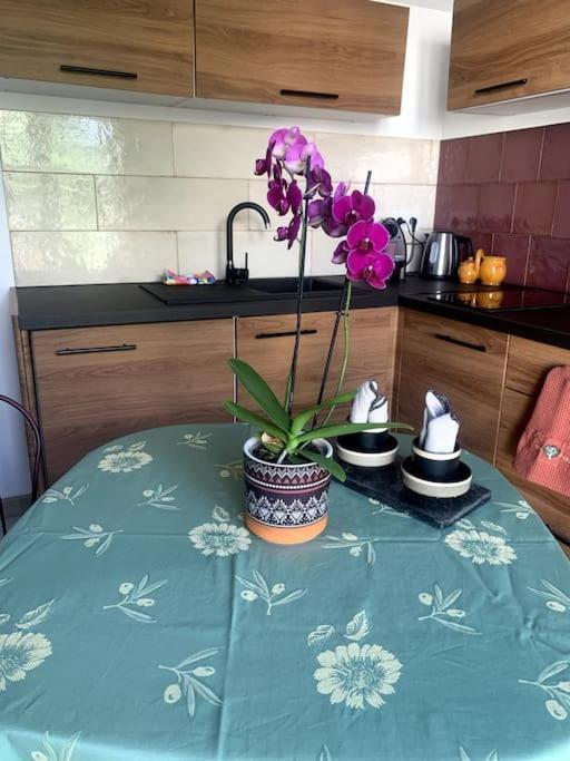 Maisonnette De Jardin Marseille Bagian luar foto