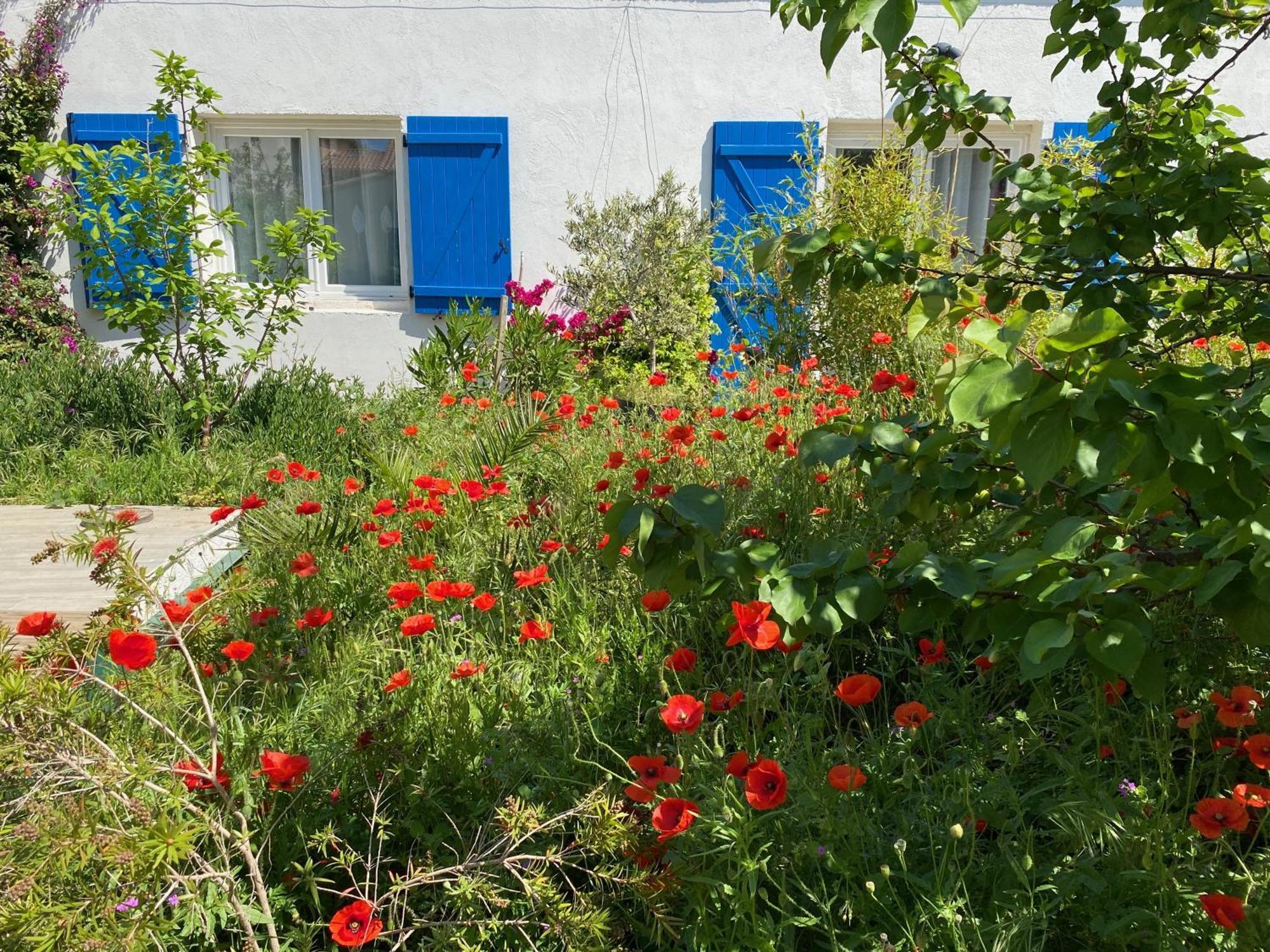 Maisonnette De Jardin Marseille Bagian luar foto